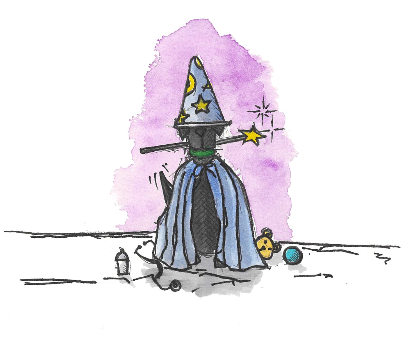 Black dog dressed as a wizard in a star-covered hat and cape
